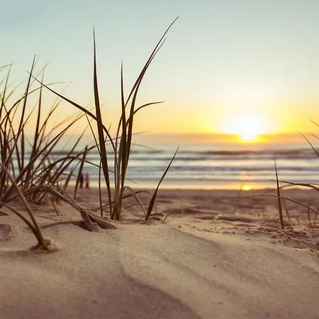 Vakantiehuis Jardin-marin-ajaccio