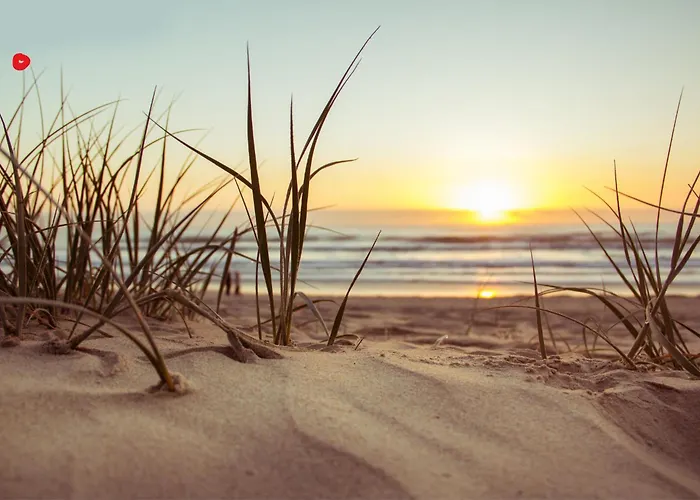 Semesterbostad Jardin-marin-ajaccio